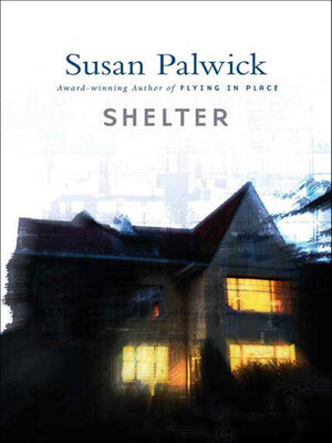Shelter - ebook